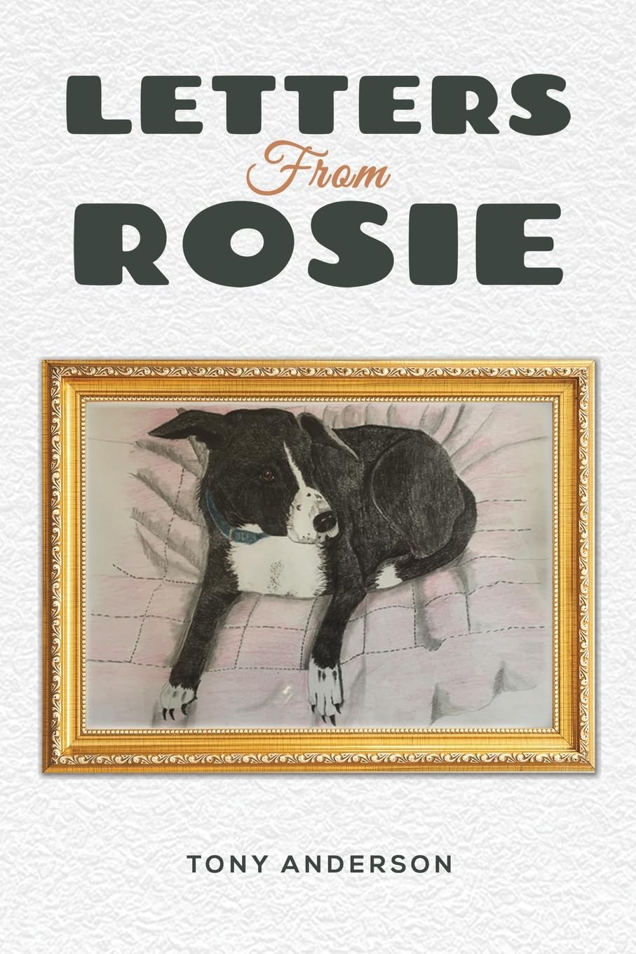 Letters from Rosie 9781035803927 Tony Anderson - Free Tracked Delivery