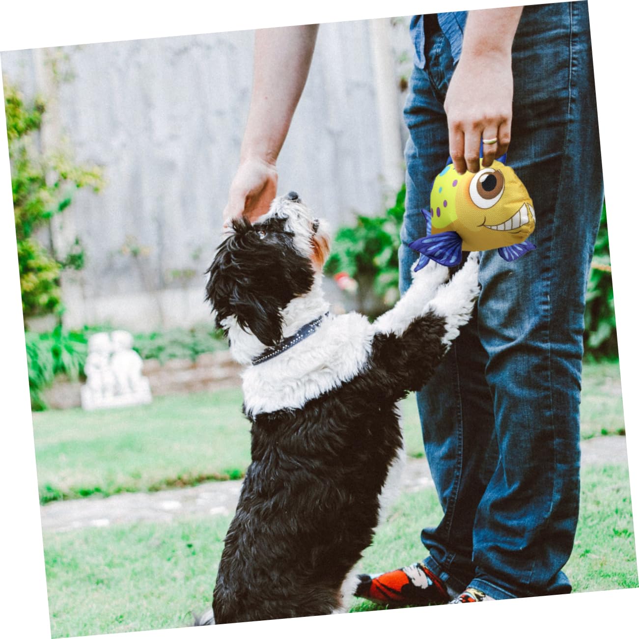 FRCOLOR 3 Juguetes para Mascotas pequeños Juguetes masticables para Cachorros Juguetes de Sonido para Perros Juguetes masticables para Mascotas Juguetes para Cachorros Dogman Juguetes Almohada Tela
