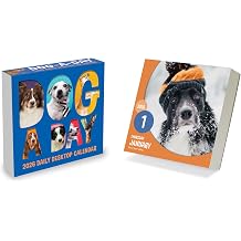 TF Publishing 2026 Dog A Day Daily Desktop Calendar - Home and Office Organization - Small Desk Calendar 2026 with over 300 Full-Color Tear-Off Pages and Standing Cardboard Easel - 5.25in x 5.25in