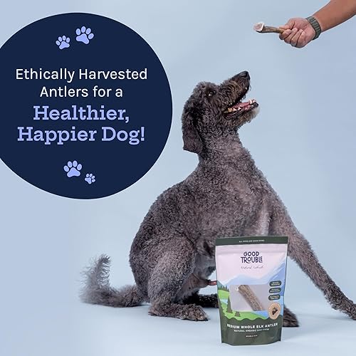 Miniatura 6 de Good Trouble Pets Premium Wild Elk Astas masticables para perros (paquete de 2)  Huesos duraderos para perros masticadores agresivos, masticables de