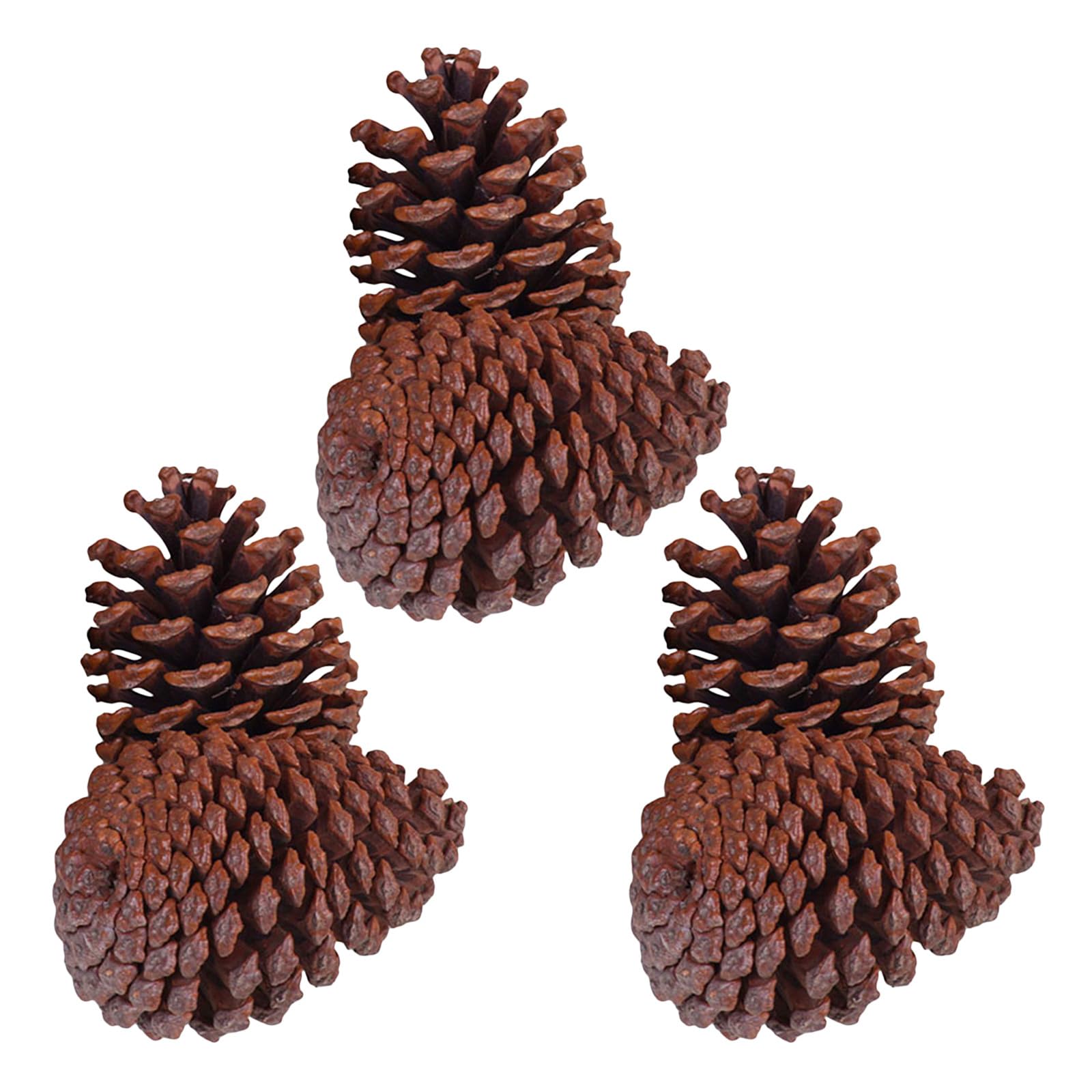 GANAZONO 6 Stück Kiefernzapfen zum Basteln aus Natürlichem Material Braune Tannenzapfen zur Dekoration für Weihnachten und Indoor Dekoration als Geschenkverzierung