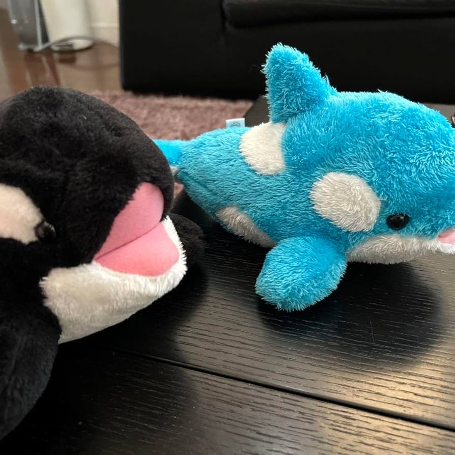 Amazon.co.jp: 鴨川シーワールド シャチ ぬいぐるみ 3個セット