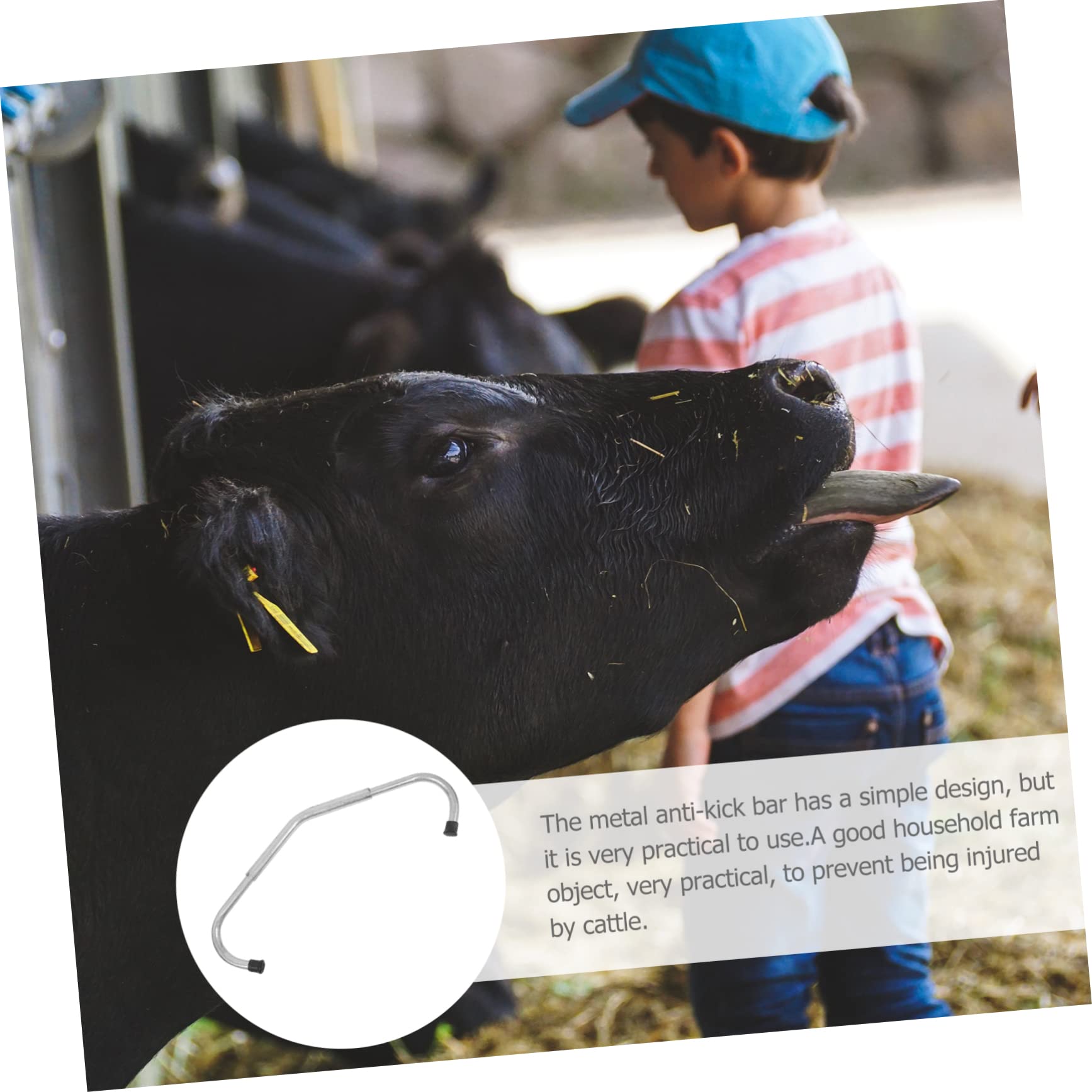 Toyvian Dispositivo Antikick Regolabile Zincato per e Allevamento Bovina Accessorio Pratico e Portatile per La Sicurezza Allevatori