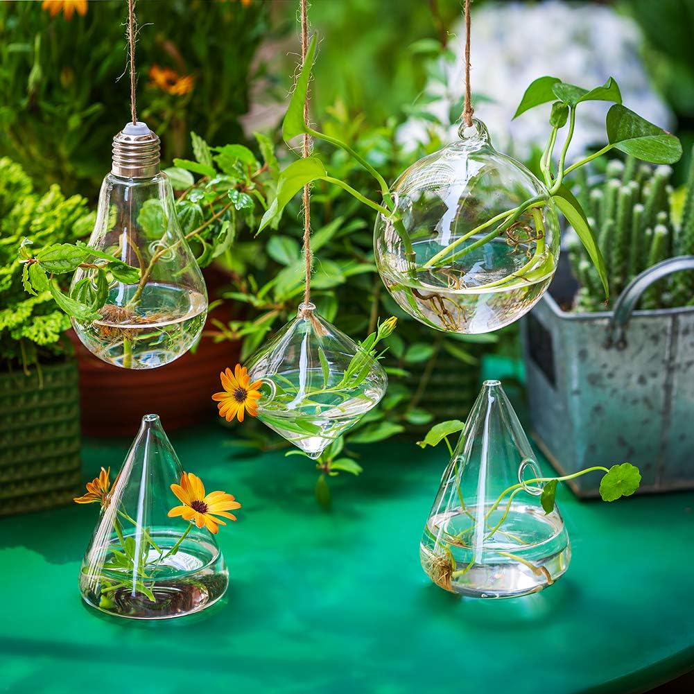 Glasseam Hanging Planters Glass Terrarium: 5Pcs Modern Plant Propagation Stations Hydroponic Wall Vases for Air Plants Flowers Indoor Window Home Decor - Image 8