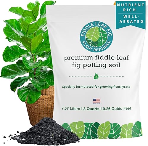 Miniatura 2 de Fiddle Leaf Fig Plant Resource - Mezcla de tierra para macetas de higos de hoja de violín  Suelo orgánico prémium con drenaje mejorado para un