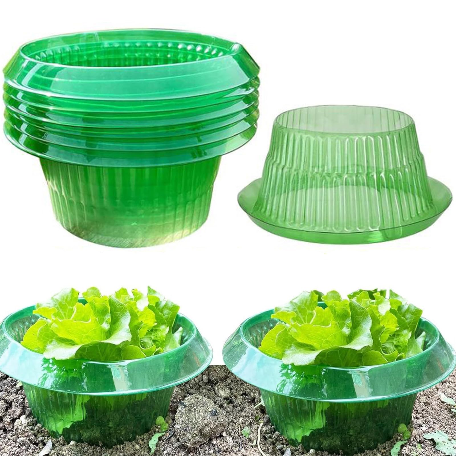 10 Pezzi Collari Anti-Lumache per Orto con Bordo 45° - Anelli Protezione Piante da Insalata, Pomodori e Cavoli, Materiale Resistente UV/Antipioggia, Senza Chimici e Riutilizzabile, Ø24cm