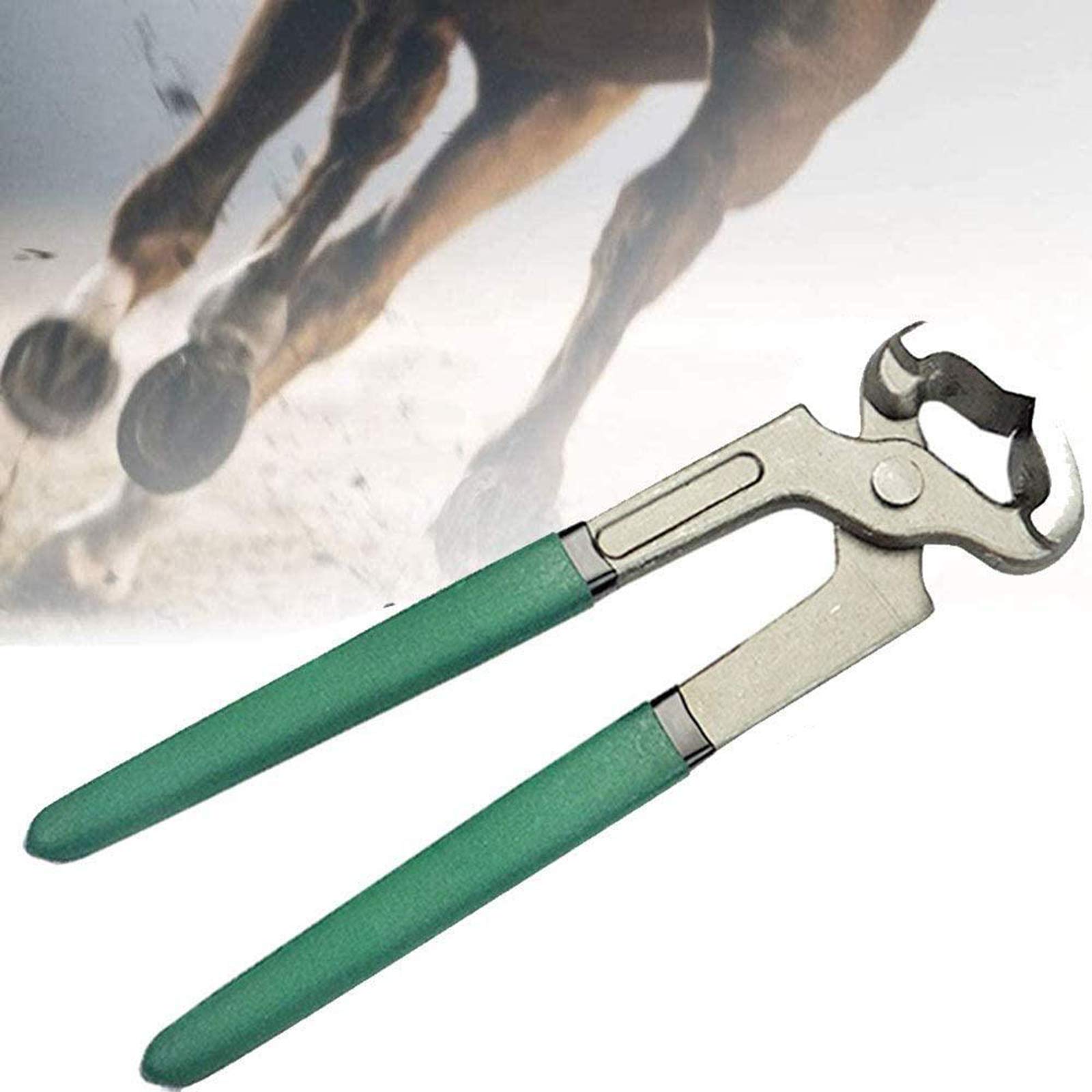 Cesoie Per Zoccoli Di Capra E Pecora - Tagliaunghie Con Lame Seghettate, Lunghezza 20 Cm - Foto 3