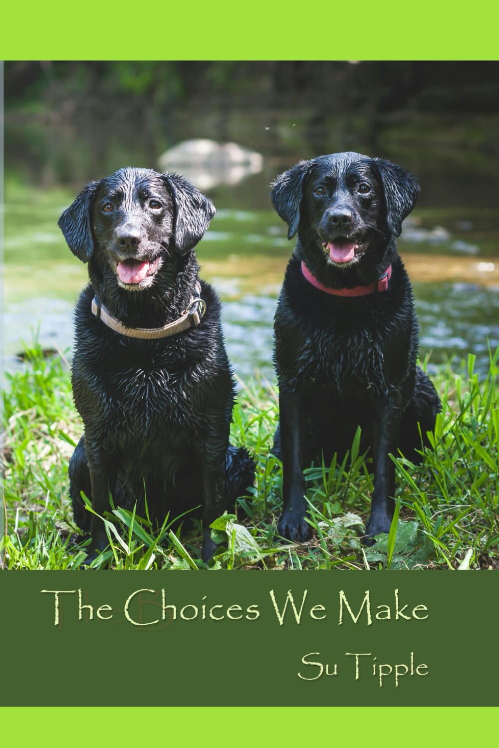 The Choices We Make