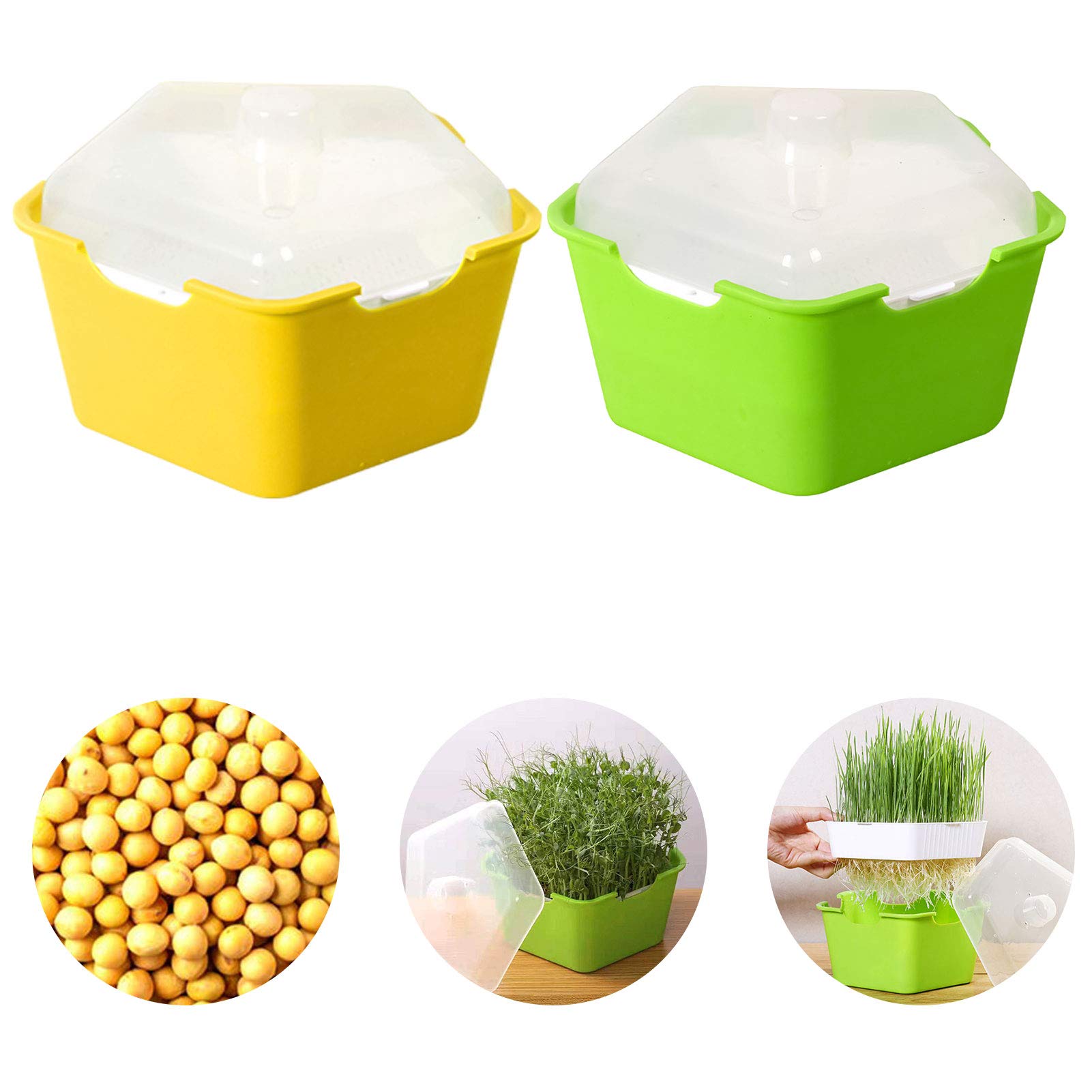 Seed Trays - Propagator with Lid, Double-layer Thickened, Rectangular Balcony Gardening Planting Tray, Plastic Sprouts Seedling Tray, 19X19X9 cm (Green + Yellow)
