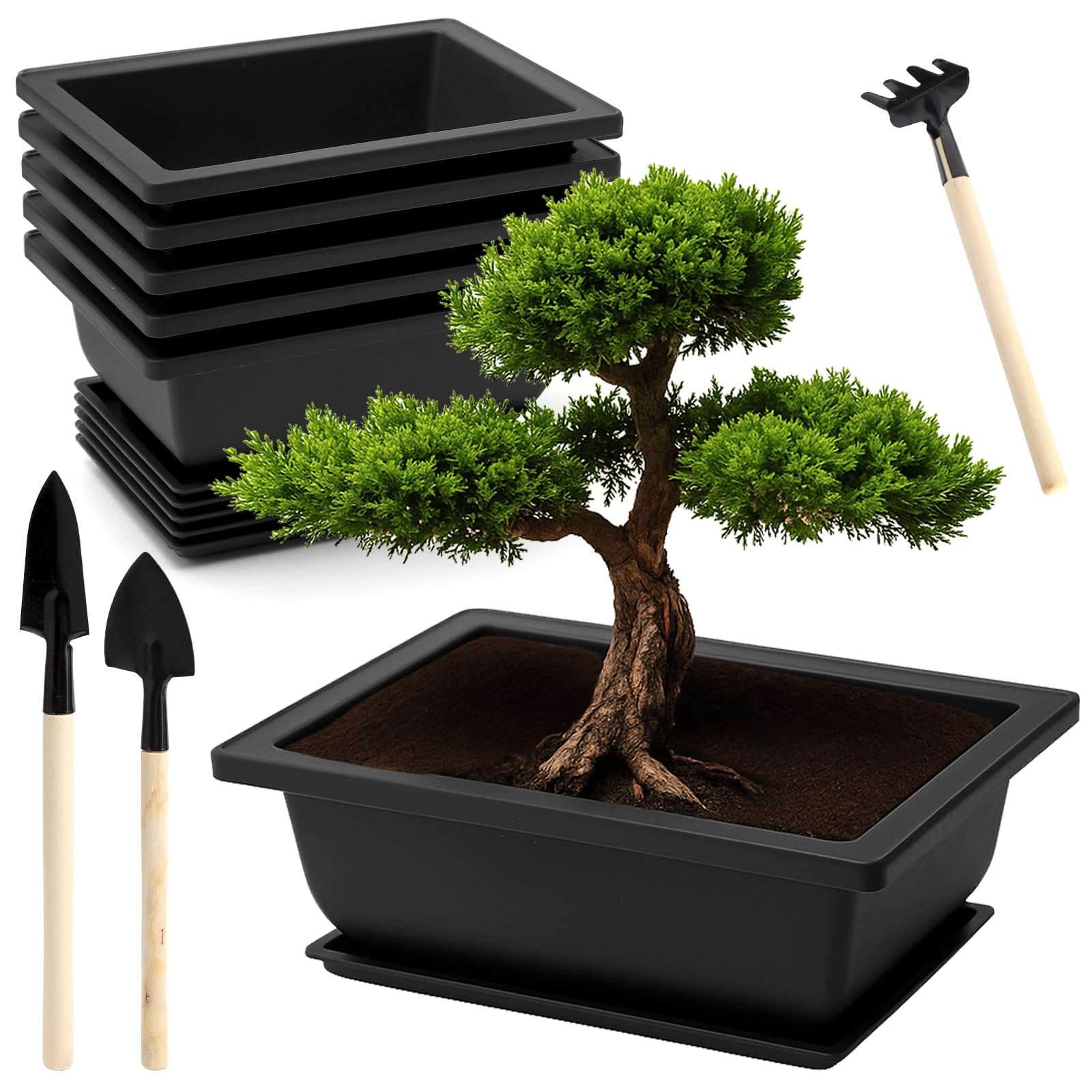 WIYETY Bonsai, 6 ciotole rettangolari per bonsai, con vassoio in plastica, per piante grasse, per giardino, soggiorno, terrazza e davanzale (23 x 17 x 8 cm