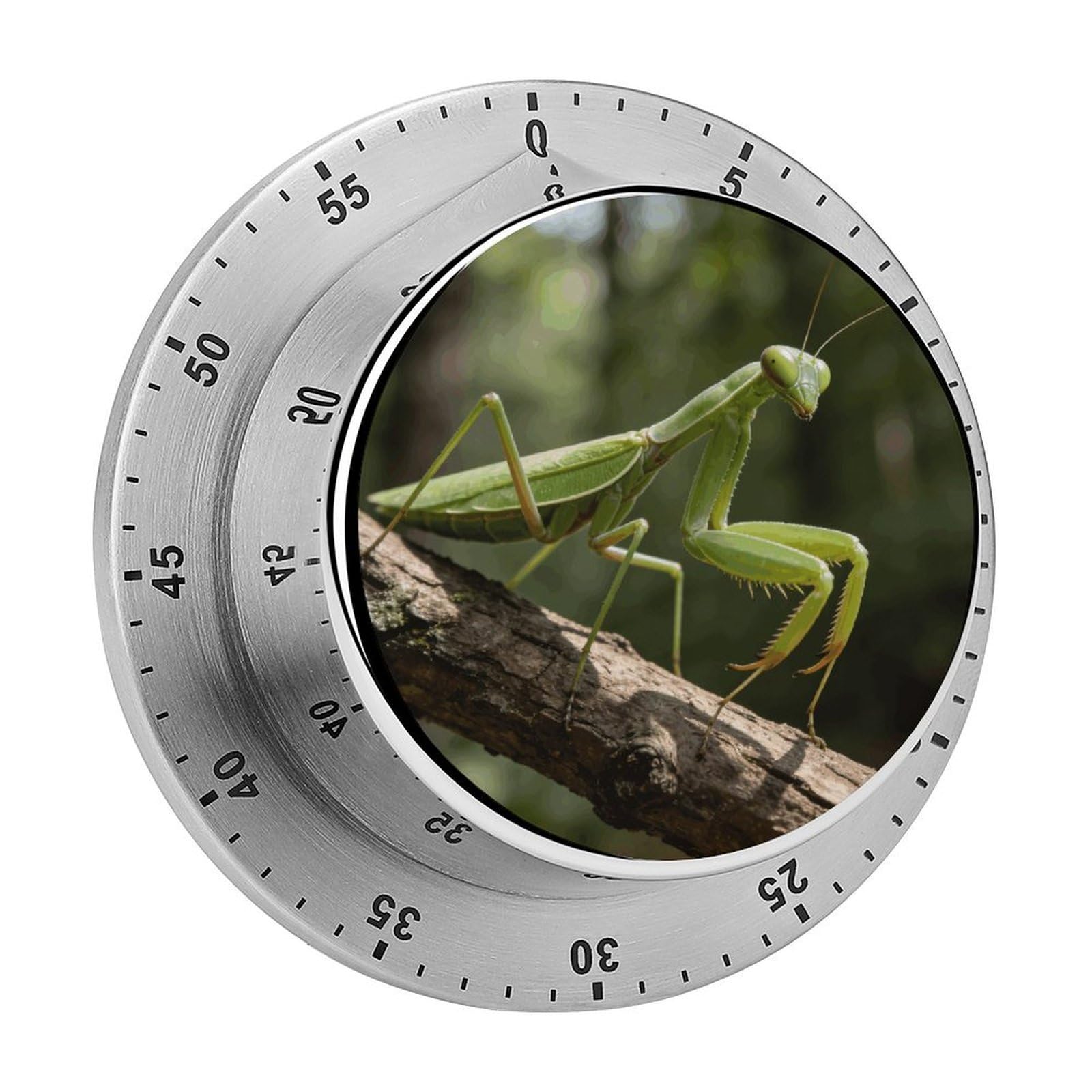 Green Blades Between The Branches Mechanical Kitchen Timer, Magnetic Stainless Steel Countdown Timer, Loud Alarm Cooking Timer for Baking, Cooking, Fitness, Classroom, No Battery Needed