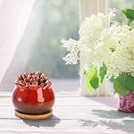 TOPZEA Set of 6 Succulent Plant Pots, 4 Inch Glazed Ceramic Pots with Drainage and Saucer, Mini Bonsai Planter Small Flower Pots for Indoor Outdoor Use