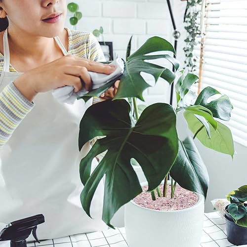 Miniatura 6 de Lainrrew Grava para acuario, rocas decorativas de fluorita de 2.2 libras, piedras de cristal decorativas, piedras de rosa, cristales de grava,