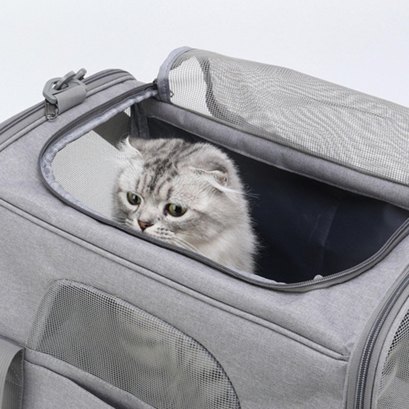 FOLODA Tragbare Transportbox Für Haustiere Mit Belüftetem Fenster Seitentasche Pendler Kurztrip Tragetasche