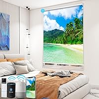 Vista 14 de TIPIACE Persianas de impresión motorizada recargables con control remoto, persiana enrollable de tela opaca completa compatible con Alexa Google