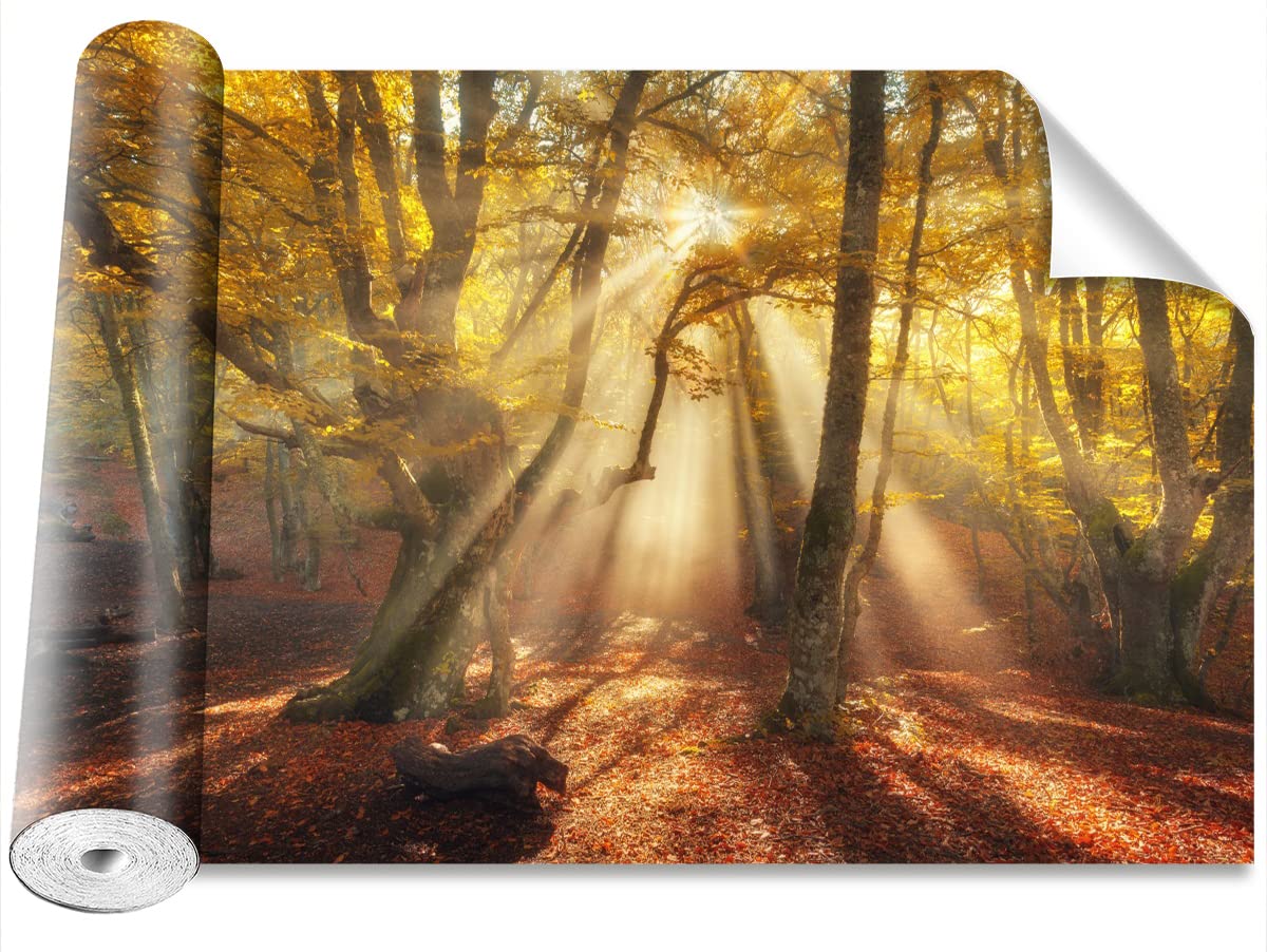 Papier peint moderne forêt magique Tulup 312x219cm décor mural