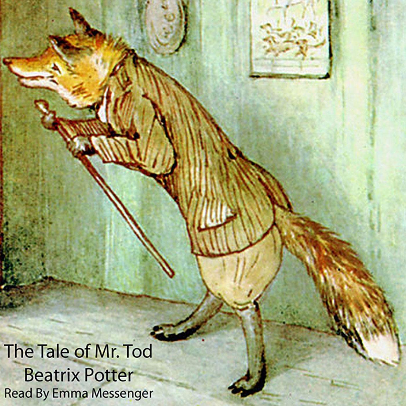 Cover art for The Tale of Mr. Tod