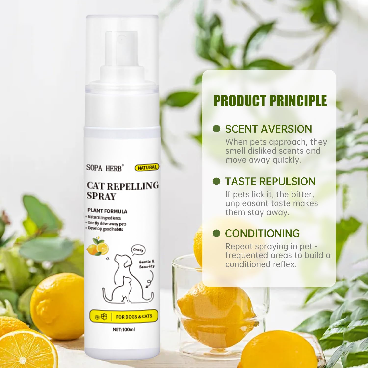 Sopa - Spray repelente para gatos, fórmula natural a base de plantas, protección interior y exterior, 100 ml