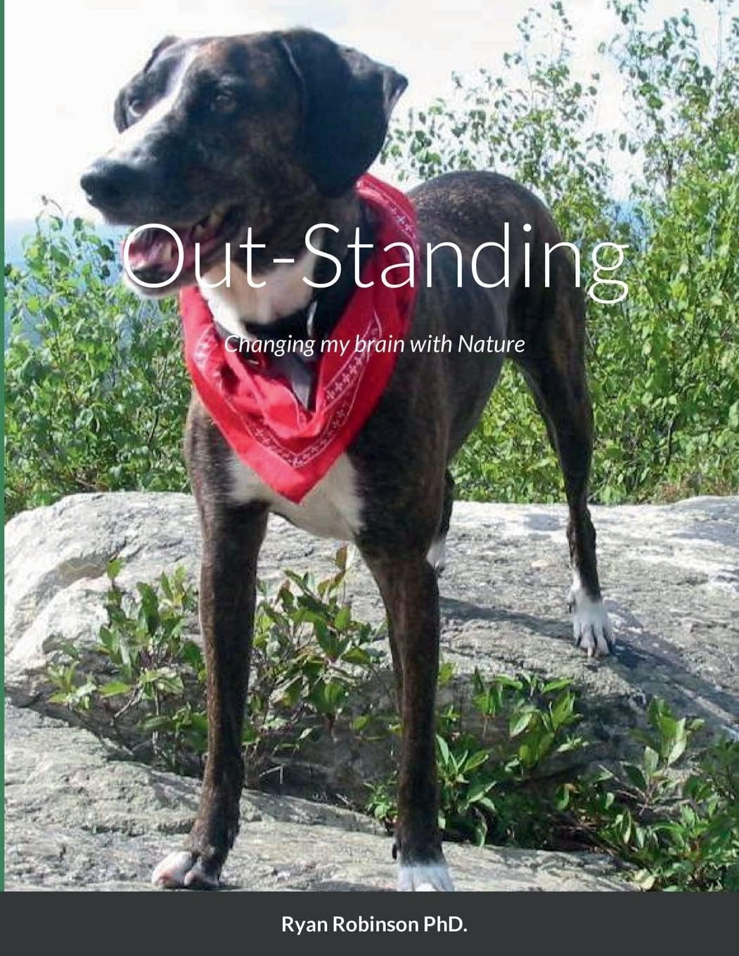 Out Standing: Changing my brain with nature.