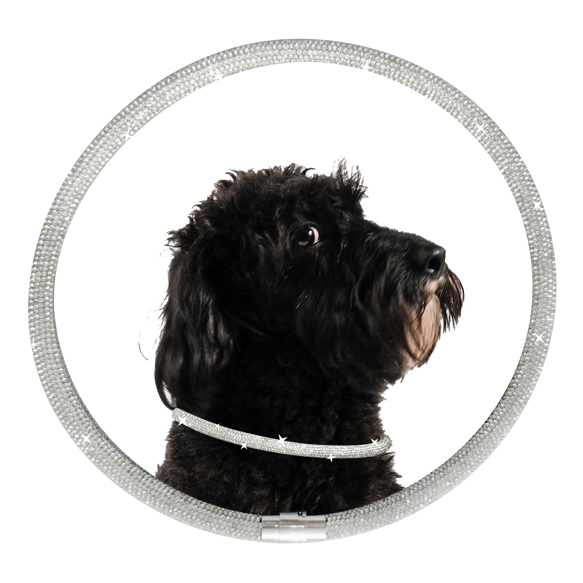 Dog Chain Collar,Pet Collar with Diamonds,Diamond Dog Collar,for Wedding,Magnetically Absorbent Clasp,Puppy Girl Bling Necklace for Small Medium Large