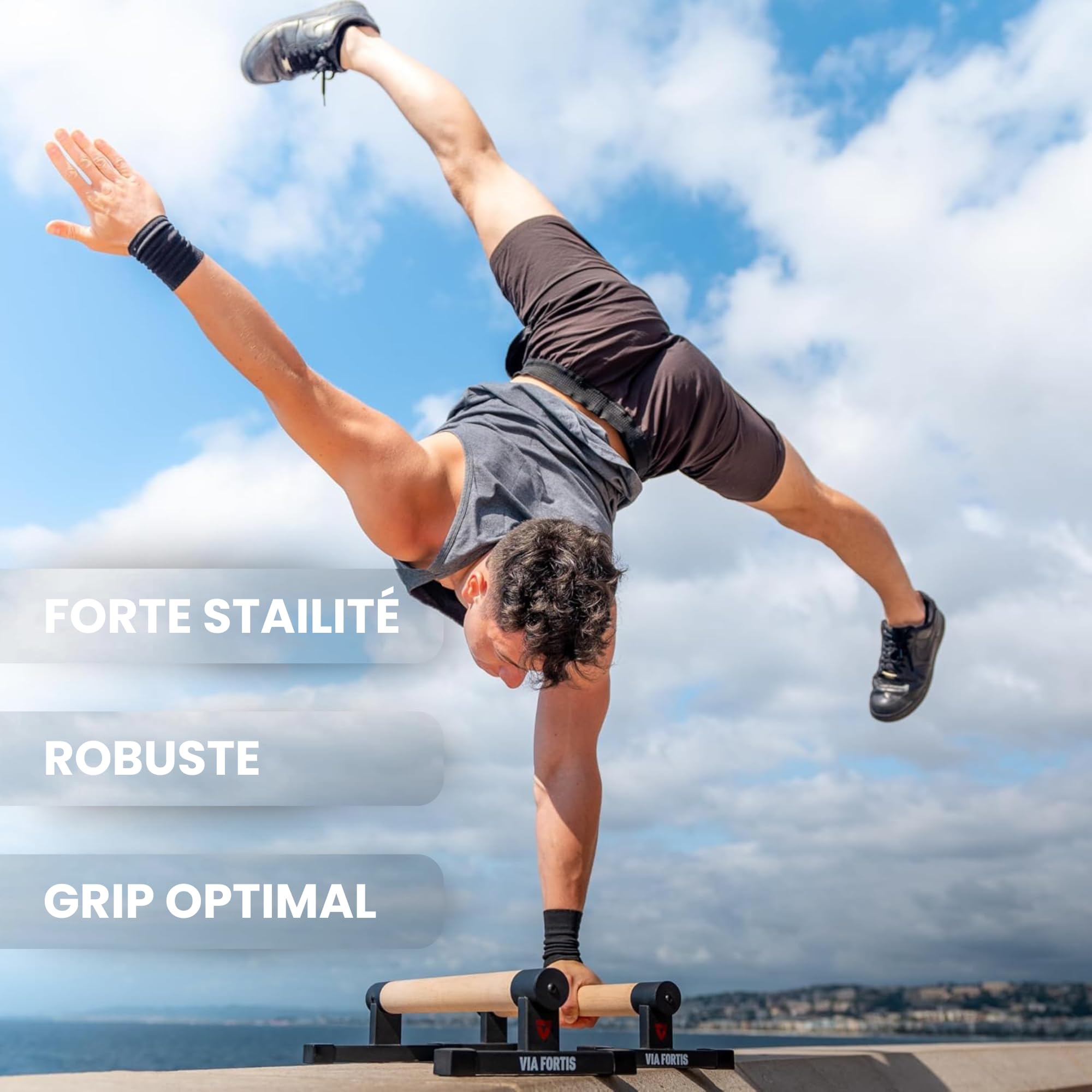 VIA FORTIS - Parallettes Basses Pro - Base Antidérapante - Barres Parallèles pour Calisthenics, Street Workout, Fitness, Gymnastique, Pompes, Dips - Accessoire de Musculation Léger - Capacité 500kg