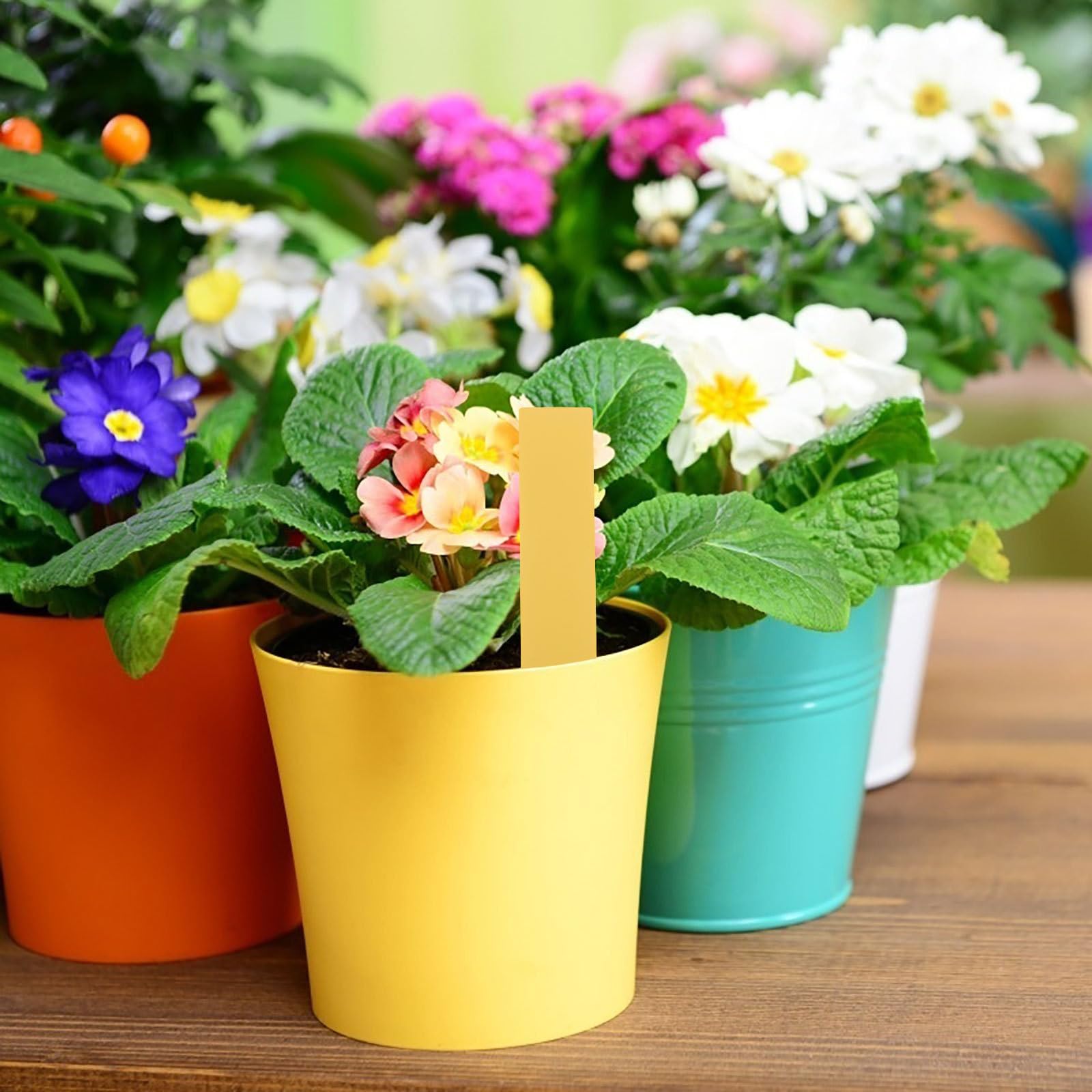 Abaodam 1000 Pièces Étiquettes pour Identification des Fleurs et Légumes de Jardin Étanches Plastique pour Plantes Lot de Format Simple