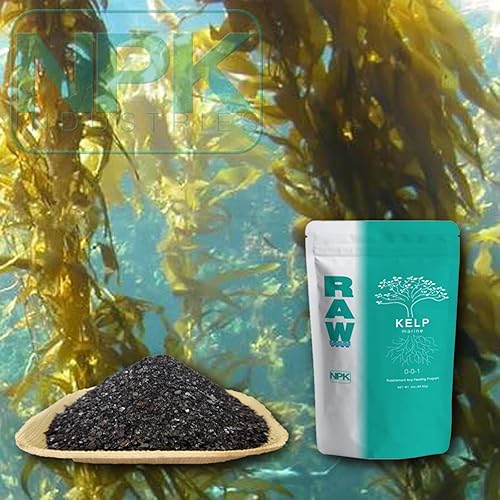 Miniatura 3 de RAW Potenciador del crecimiento de plantas Kelp 2oz por NPK Industries