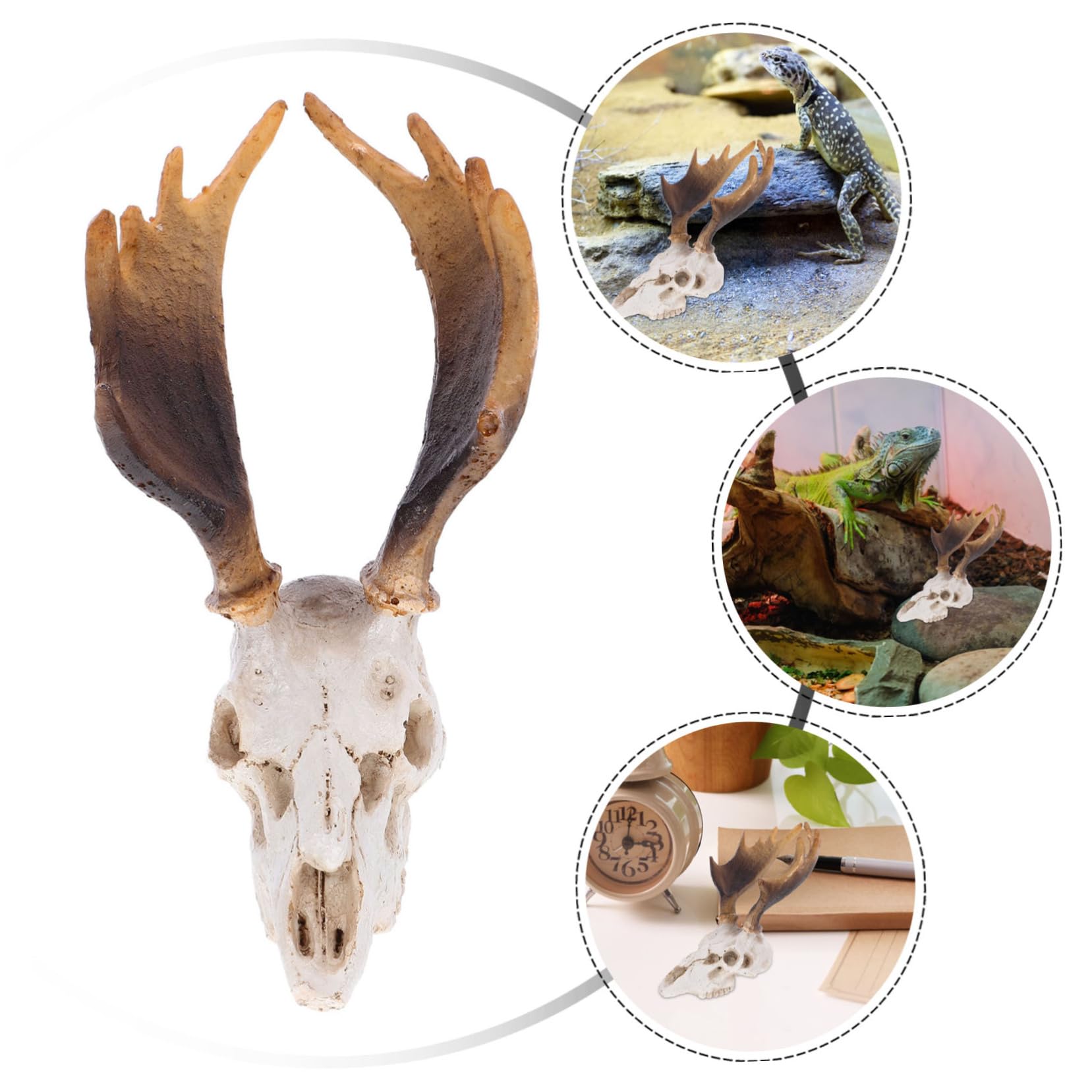 Abaodam Deer Skull Reptile Hiding Cave Durable Reptile Shelter for Terrarium Decor for Snakes Lizards and Frogs Eye Catching Habitat Accessory