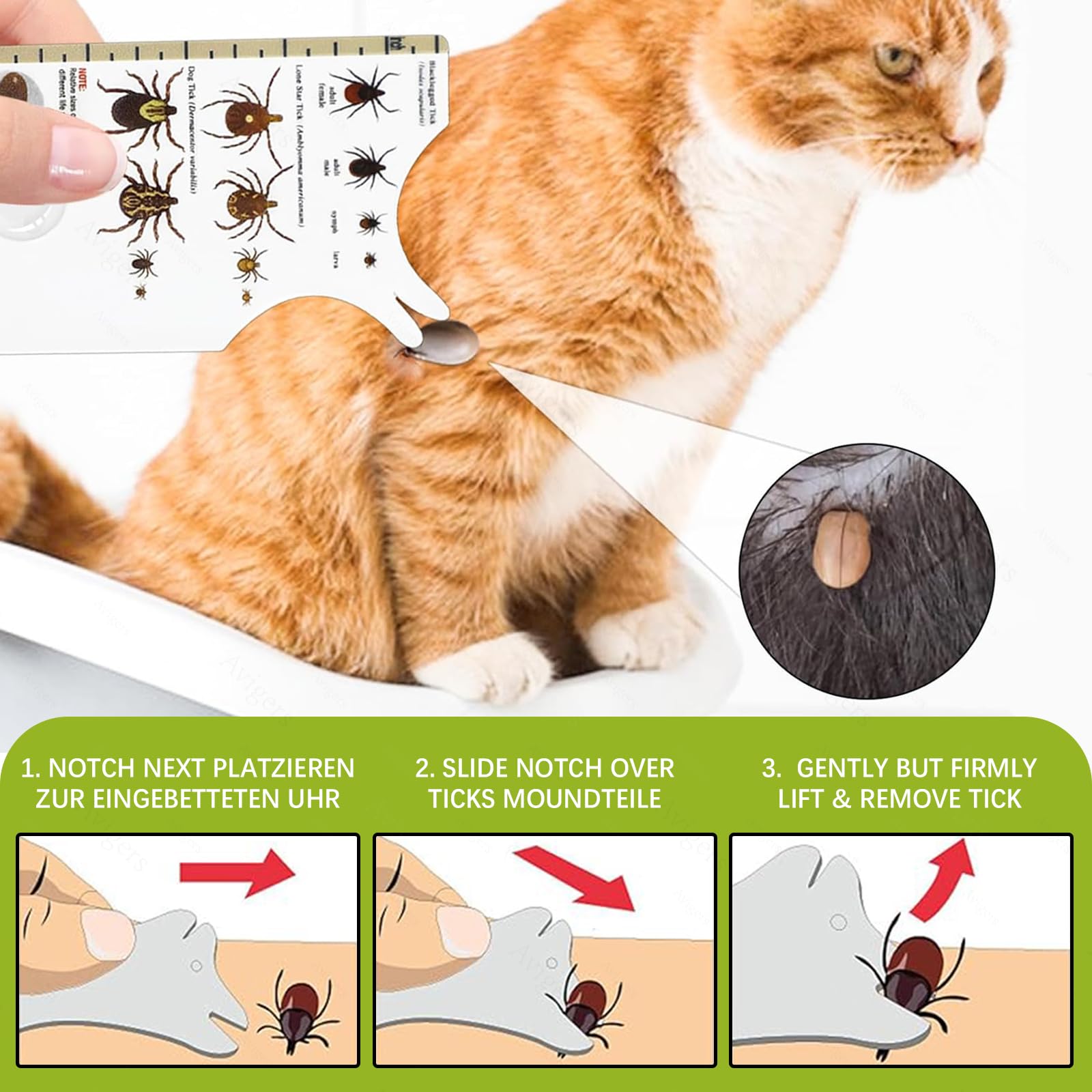 Avigers 3 tarjetas de garrapatas con lupa para humanos, niños, perros y gatos, tarjeta de garrapatas para personas al aire libre, camping y mascotas, tarjeta de tick para eliminar suavemente las