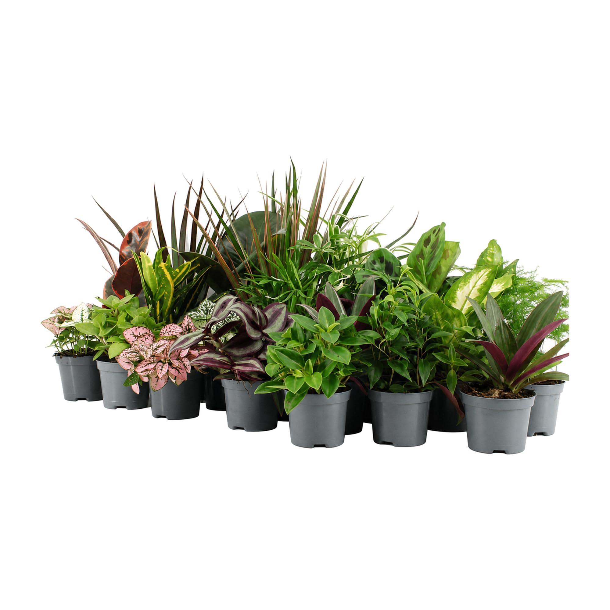 Mix di Piante Verdi per Decorazione, Verde, Set da 24 Pezzi, Ø8.5x10 cm