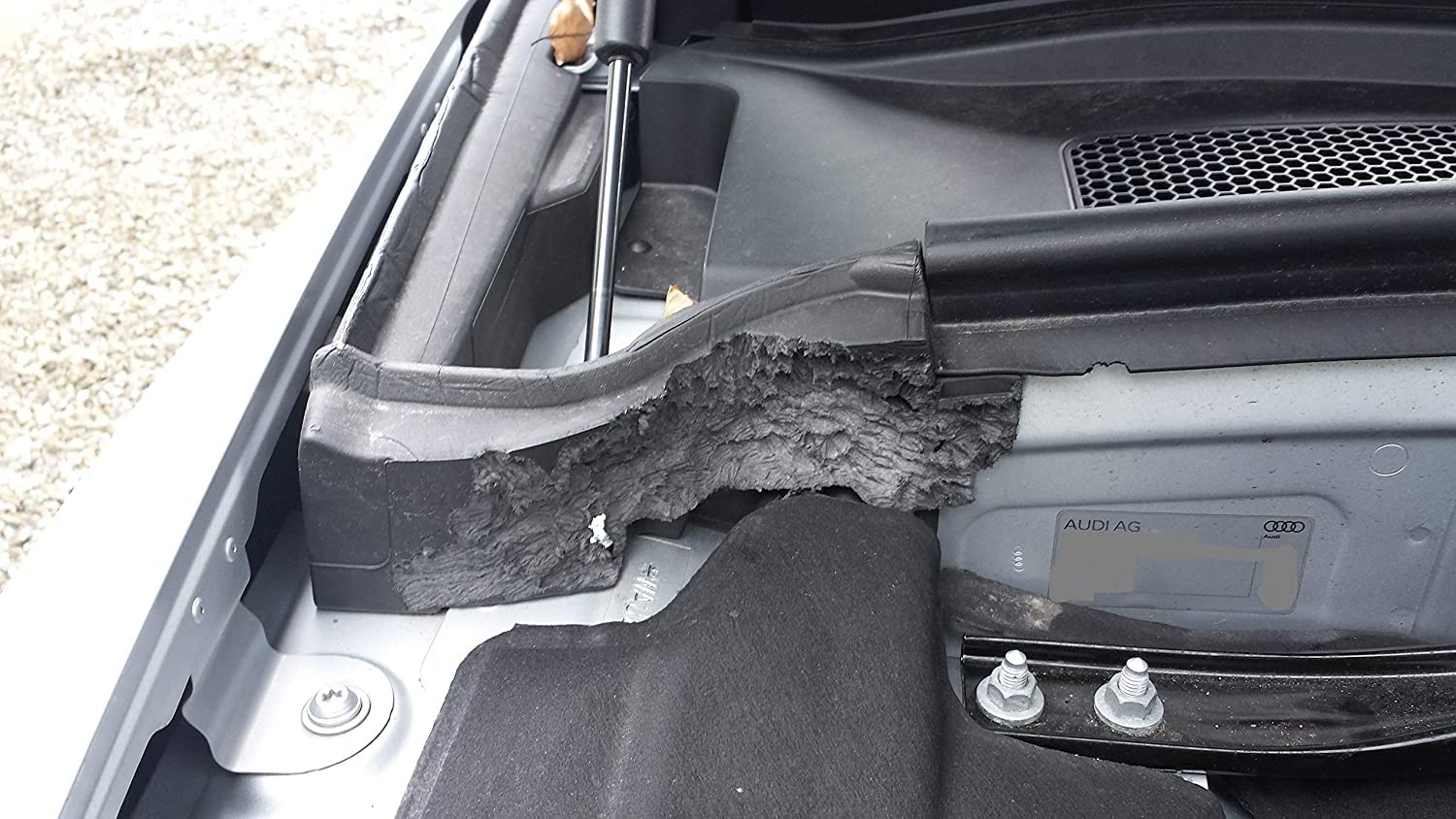 Routeur ultrasonique de rongeur de voiture 12V - souris, rats, martres, belettes