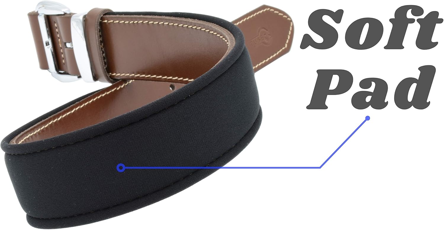 Vegetable-Tanned Leather Dog Collar for Large Dogs - Heavy Duty and Luxury Design Dog Collars (XL: 1.6” Wide for 22.5" - 25.5" Neck, Brown)