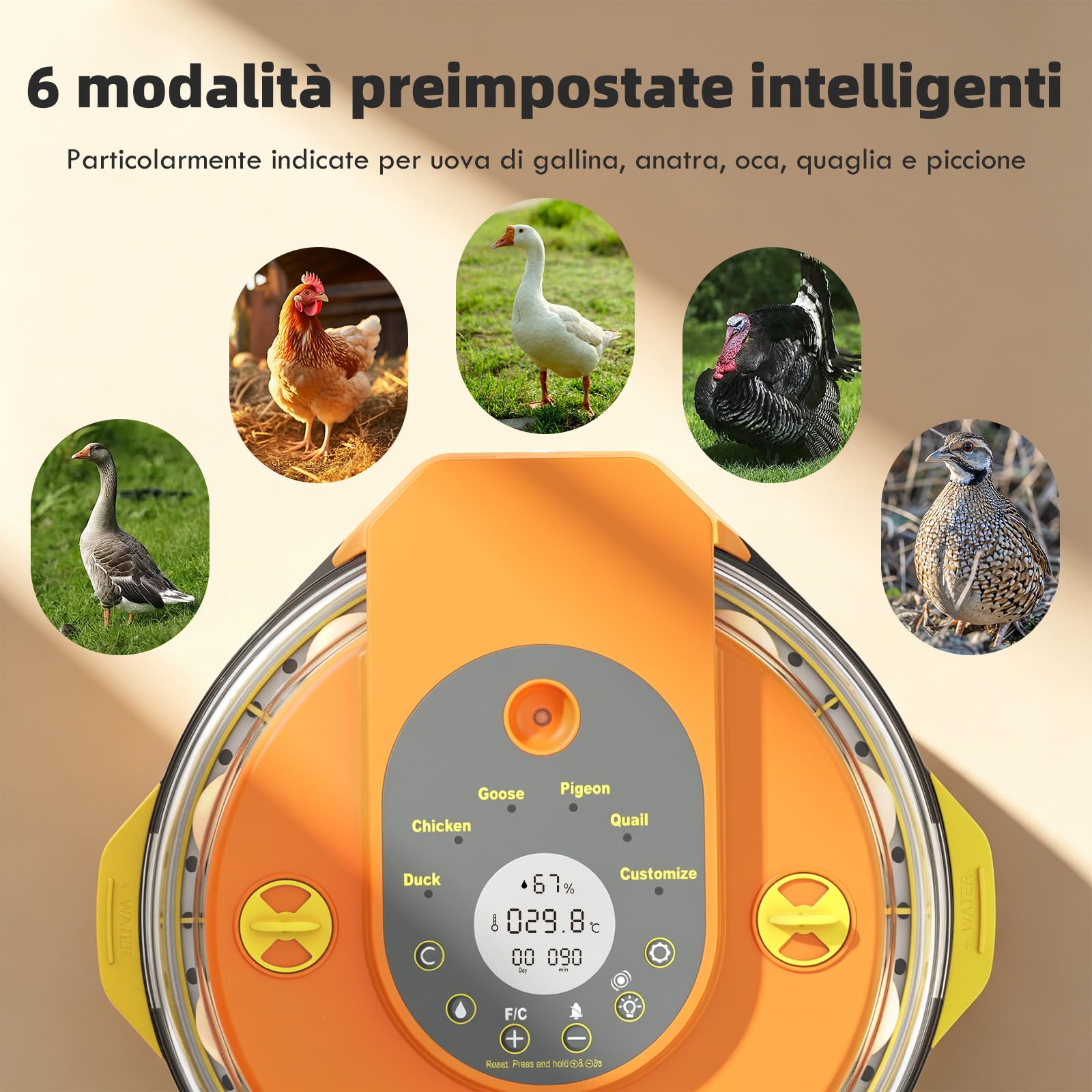 Incubatrice per Uova Automatica 15 Uova, Incubatrice Digitale con 5 Modalità, Girauova Automatico, Controllo Temperatura e Umidità, Sperauova Integrato per Uova di Gallina, Quaglia e Anatra