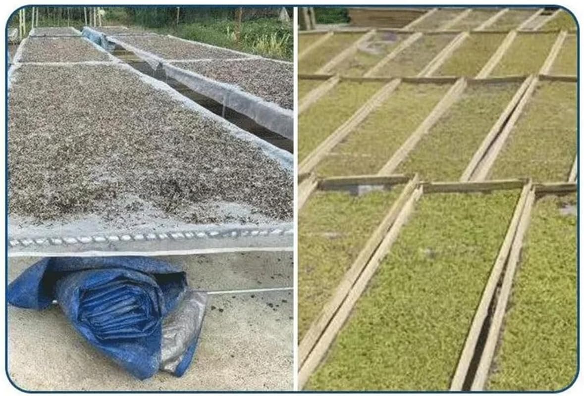 Polyester Fiber Window Screen Mesh Replacement, Adjustable Flexible Door Mesh for Home Windows Patio Porch Sliding Doors, 79x197 Inch