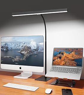 LED Desk Lamp for Home Office