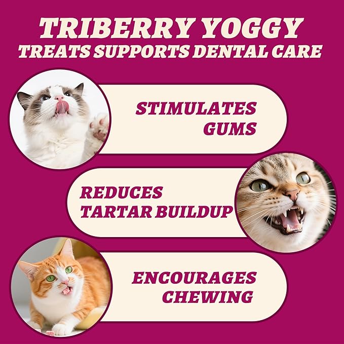 Wellix Snacks liofilizados para perros y gatos - Sabor triberry yogur 4.23 oz miniatura 7