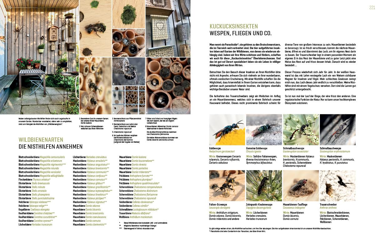 WILDBIENENHELFER: Wildbienen & Blühpflanzen