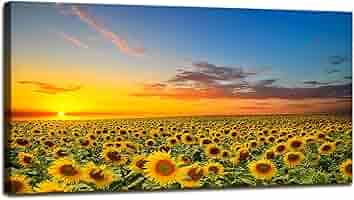 置物 Sunset Aglow Amazon.com: DBLAKI DB2962 Sunflower Wall Art Flower Wall Art