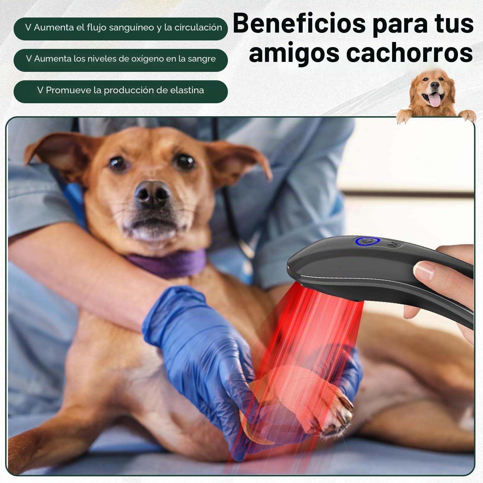 Dispositivo de mano para terapia de luz roja, 18 PCS620nm lámpara infrarroja para todo el cuerpo, articulaciones, hombros, rodillas, tobillos, músculos, recuperación rápida