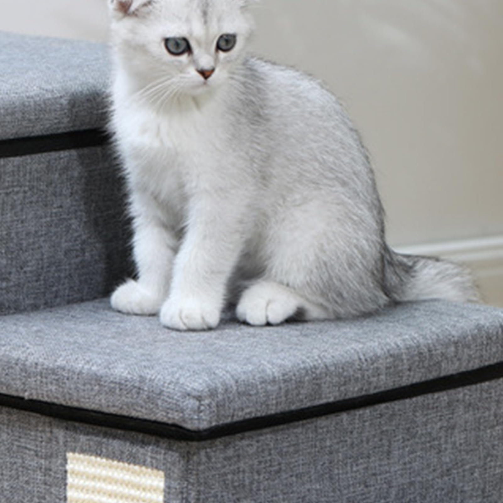 Gradini per animali domestici – 40 cm di altezza, pieghevole per gatti | Lampada per cani, e durevole, resistente all'usura e stabile, per cani anziani, gatti, zim