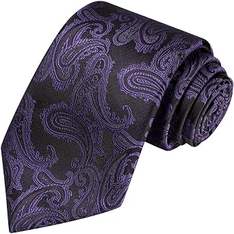 KissTies Mens Necktie Classic Paisley Event Tie + Gift Box