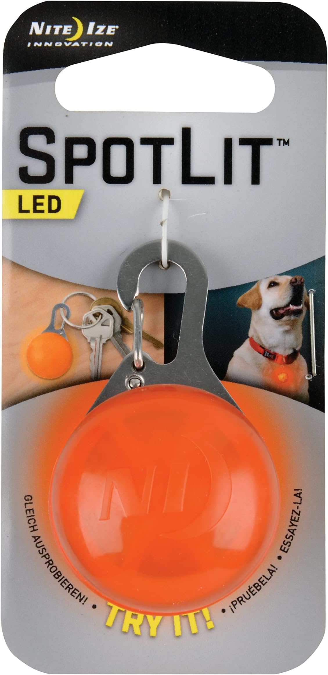 spotlit dog light