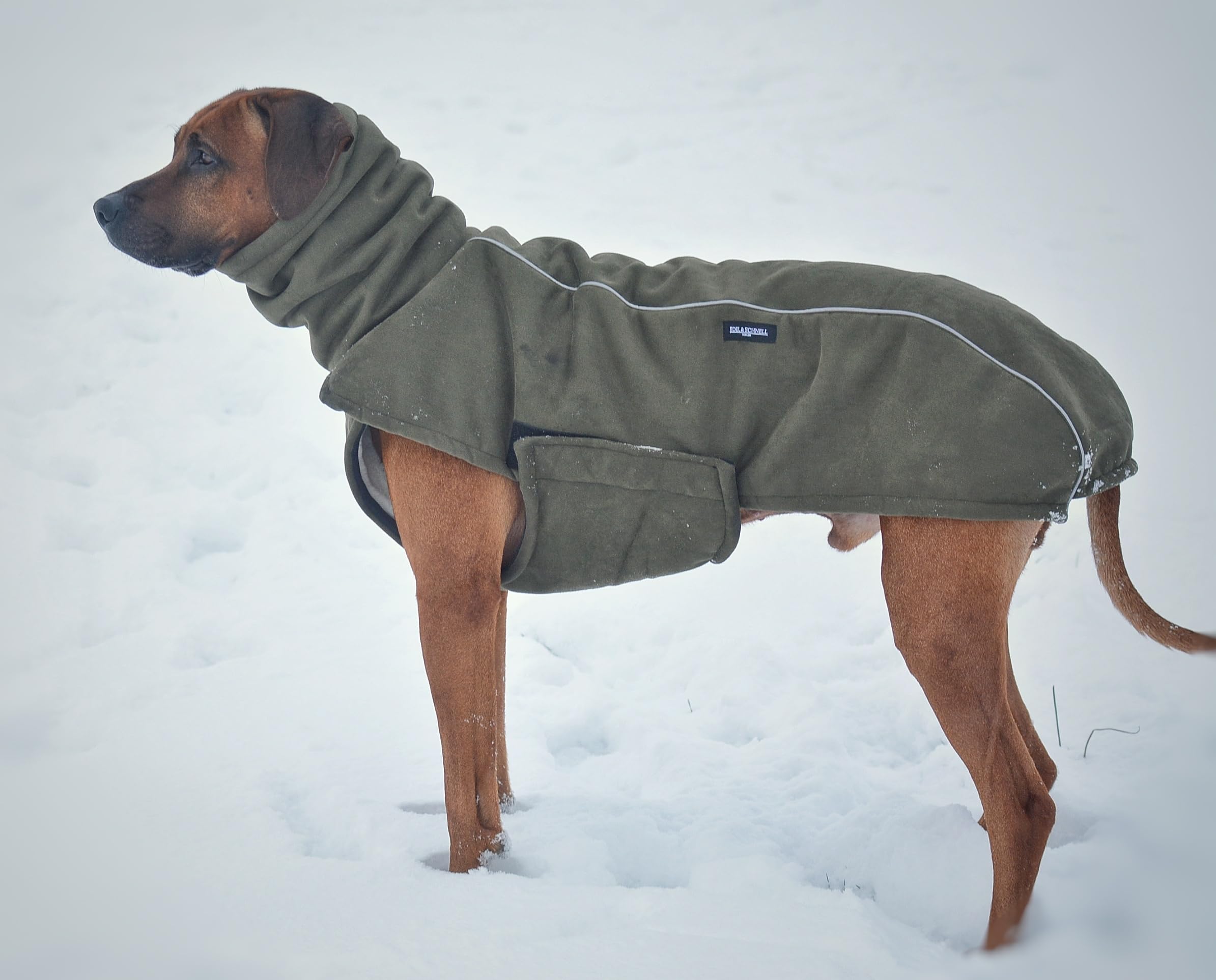 EDEL&SCHNELL Hundemantel kleine Hunde 40 bis 45 cm luxurise Hundejacke in  grn mit Bauchschutz Windhund Wintermantel wrmend mit Wildleder und ...