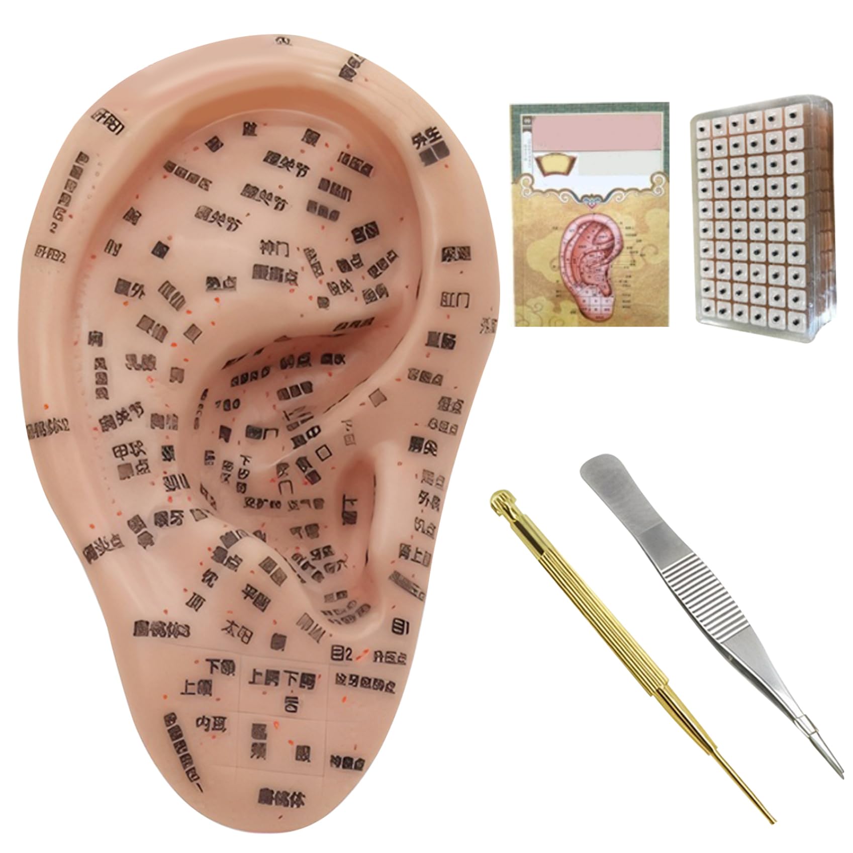 Semillas de oído para reflexología: kit de acupuntura con modelo de oreja 7