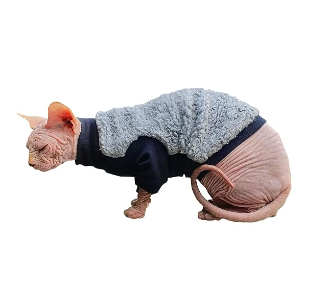 Foto 2 de 5 de Ropa Gato Jersey Sphynx Gatito Sport Chic Cálido Sin Pelo Invierno Pet (XS)