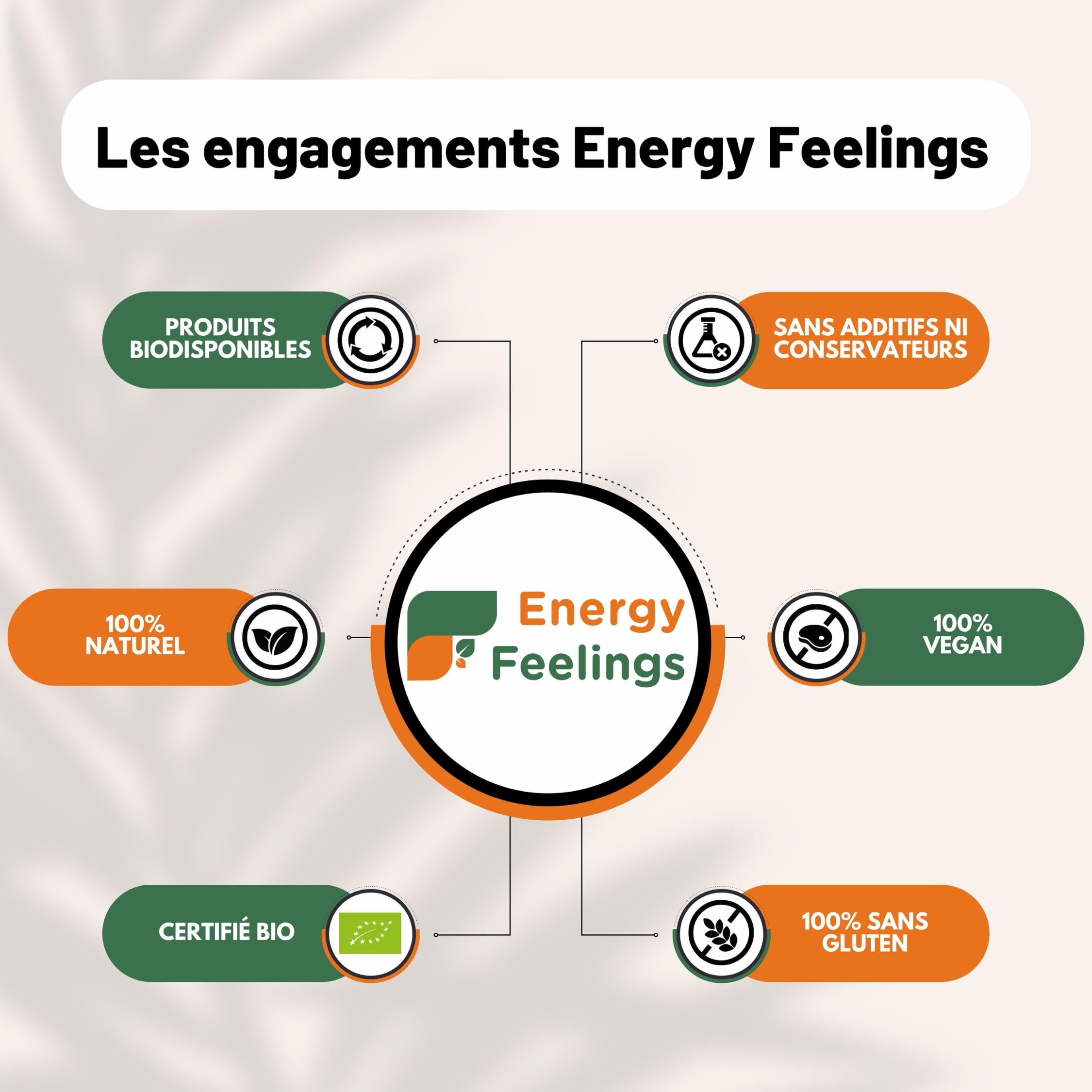 Energy Feelings Lait de Coco en Poudre Bio 1kg, Lait de Coco Bio Sans Sucre Ajouté, Sans Gluten ni Lactose, Vegan Powder, Organic