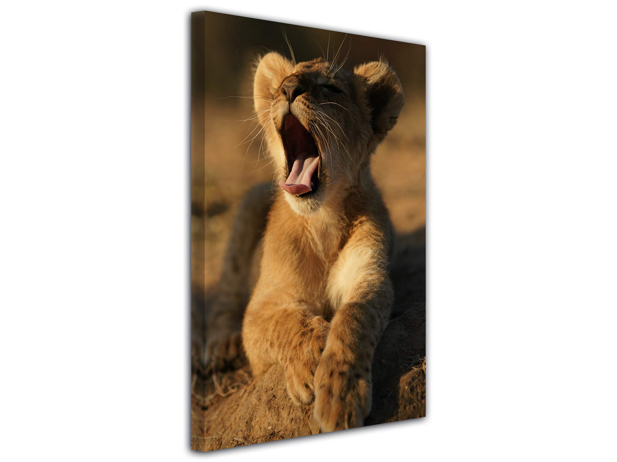 DECLINA - Cuadro de Animales, Foto sobre Lienzo, decoración de Pared, Cuadro de león con Despertador (30 x 50 cm), Lona, marrón, 100 x 150 cm