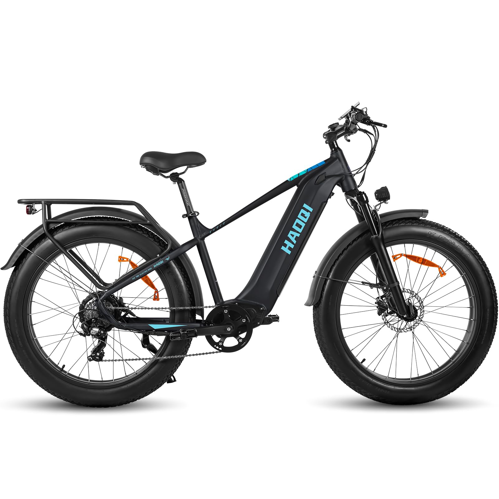 HAOQI Eagle Electric Bicycle for Adults, 250 W Brushless Motor Mountain Bike with 48 V 20