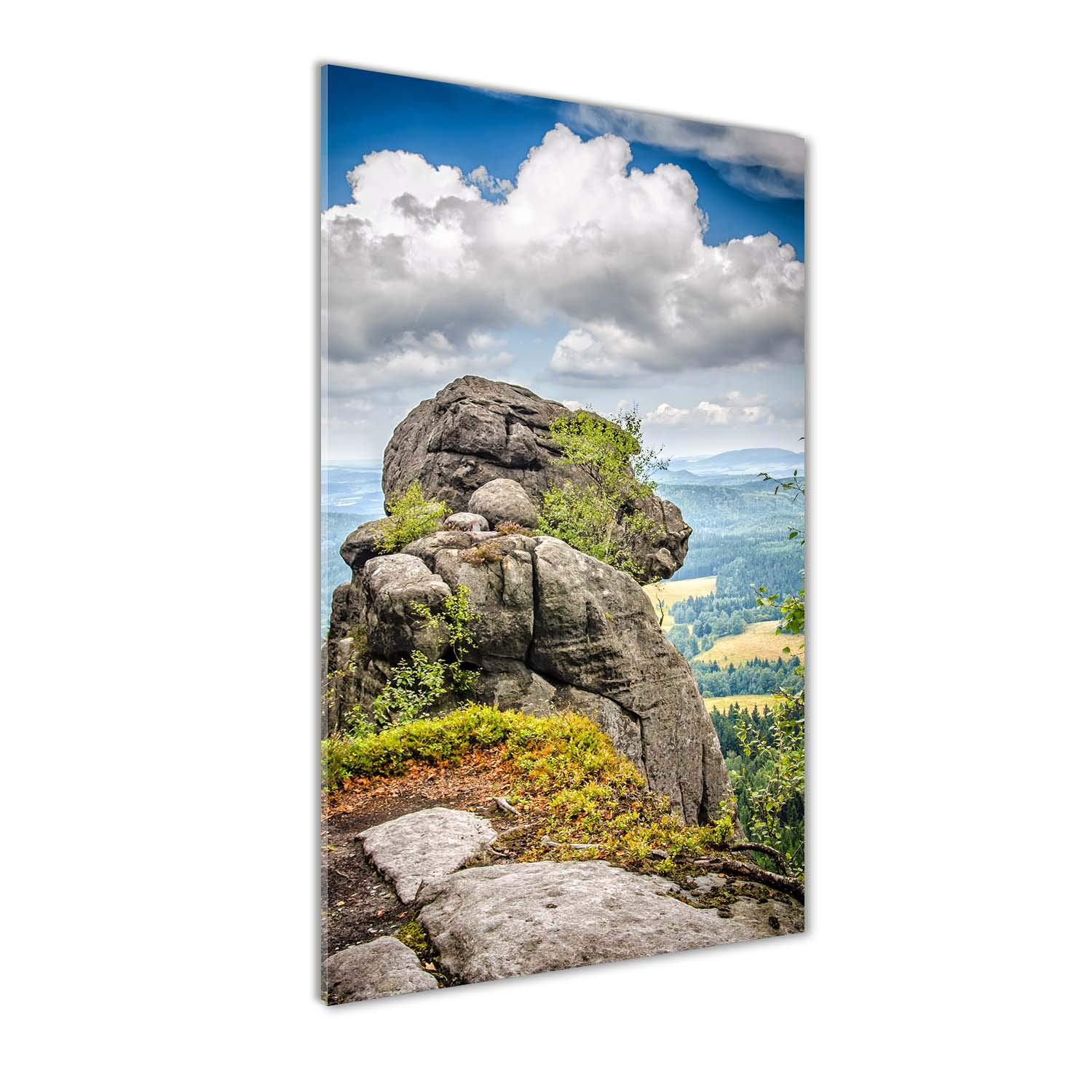 Déco mural derrière le plastique acrylique Tulup 50x100 tableau image sur verre paysage