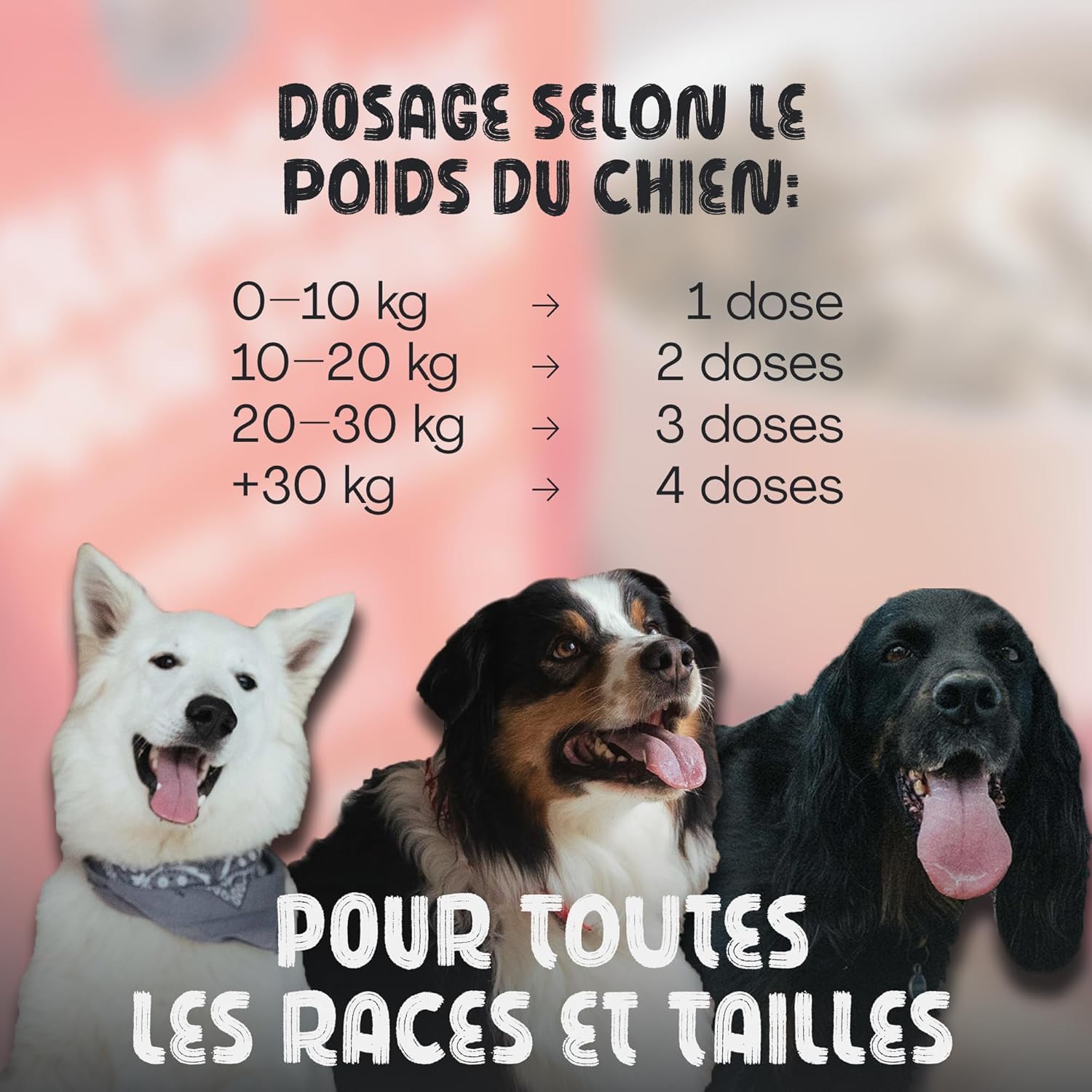 Rock & Paw | Collagène Chien 2300mg Haute Concentration | Articulations & Arthrose Chien | Glucosamine, Chondroïtine | Idéal Grands Chiens | Poudre Poulet | Fabriqué en France | 225g